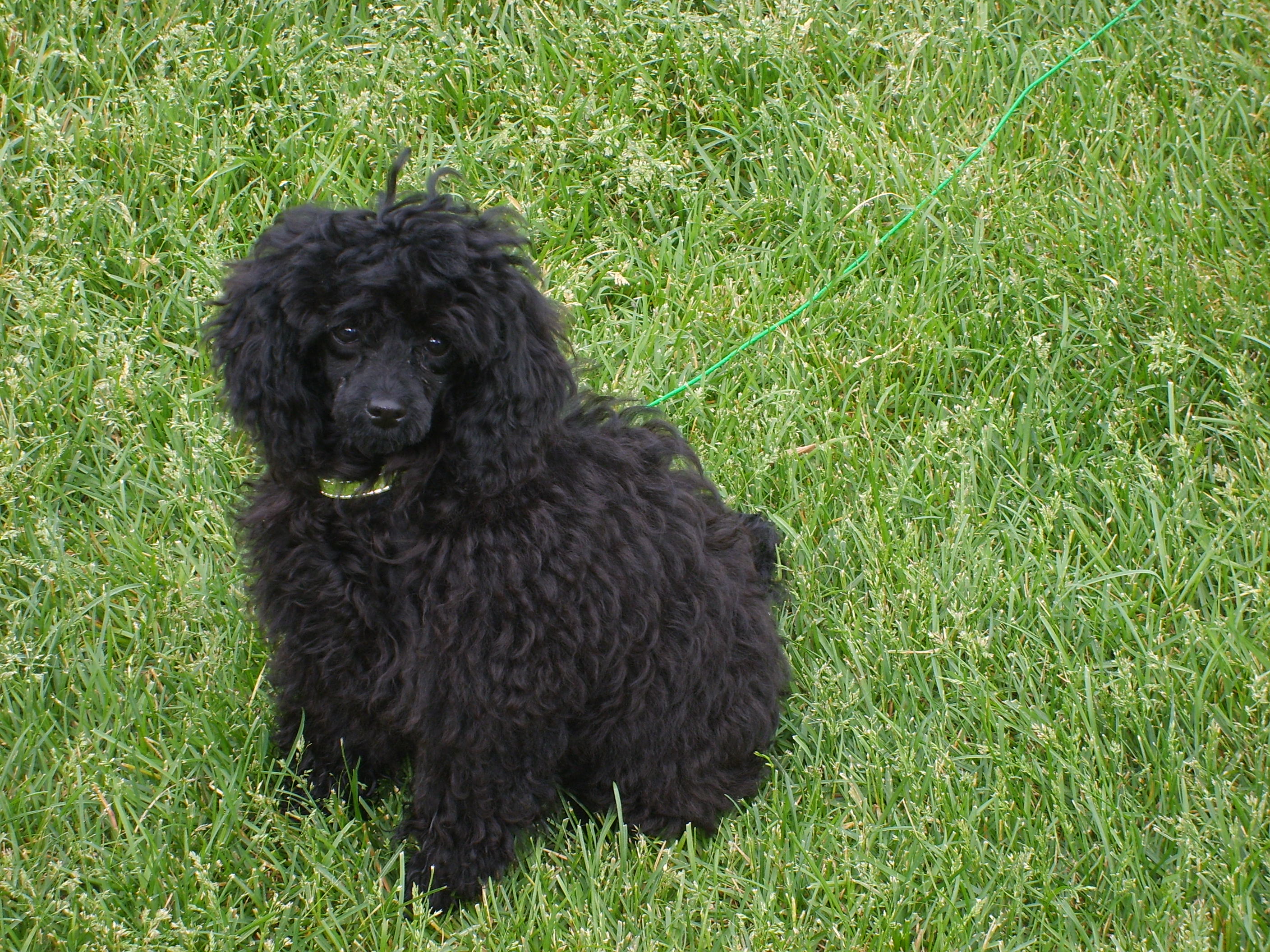 Bella's First Day Home