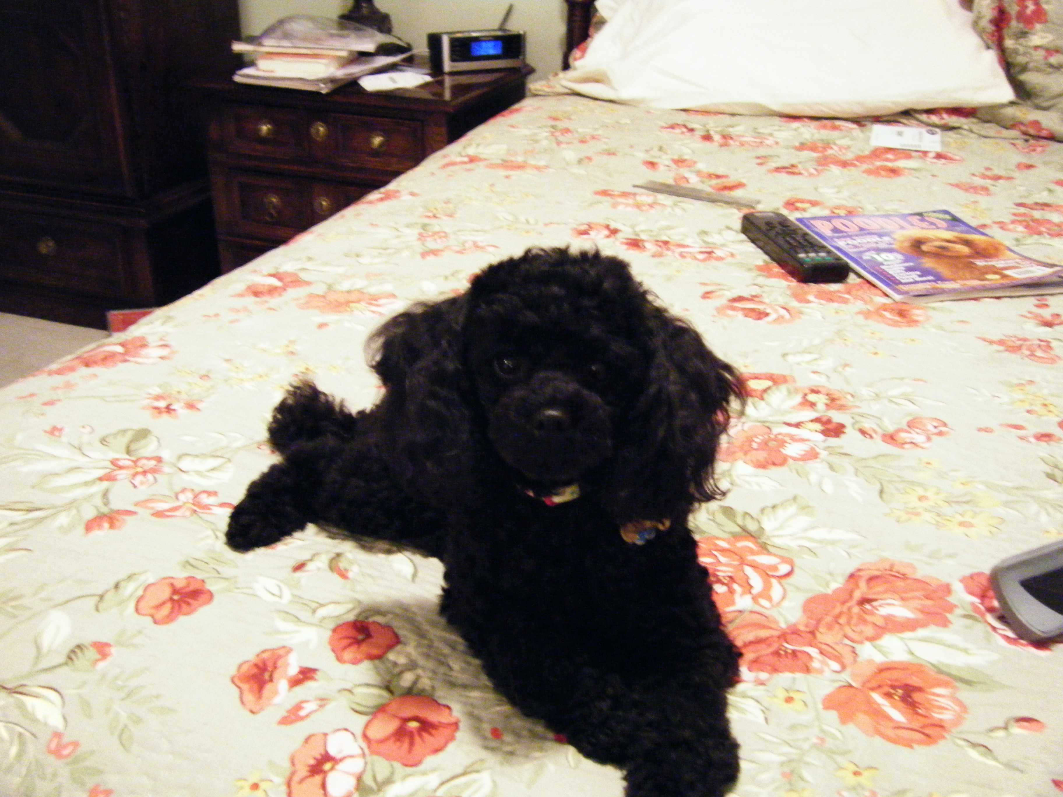 Posing for the Camera