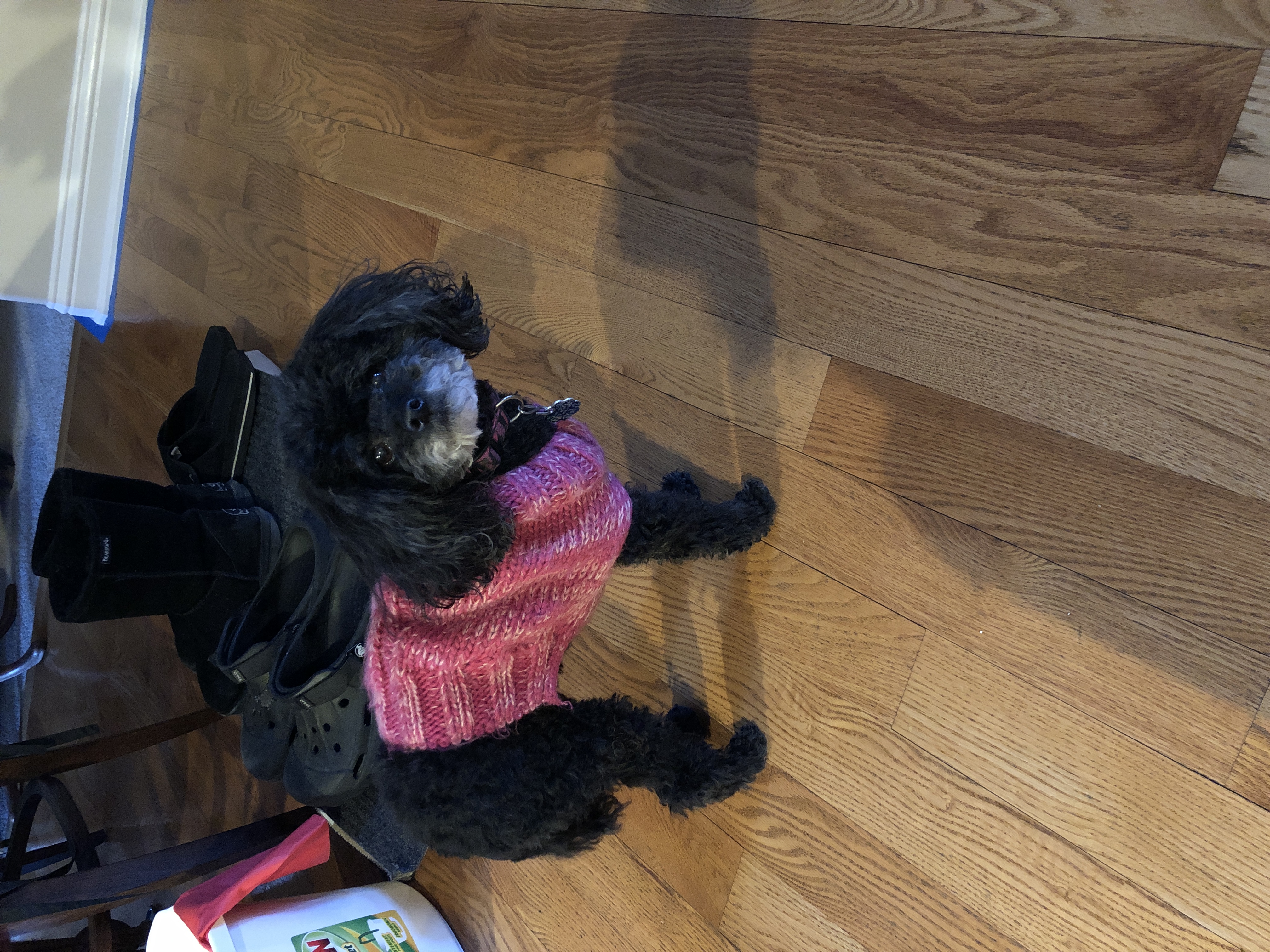 Pink Sweater Weather