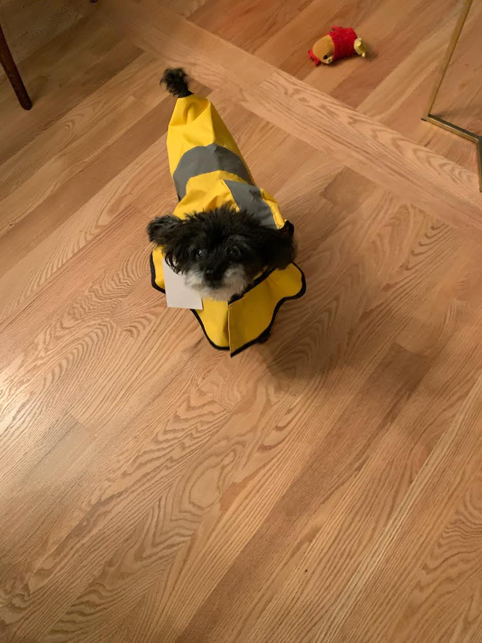 Raincoat Try On